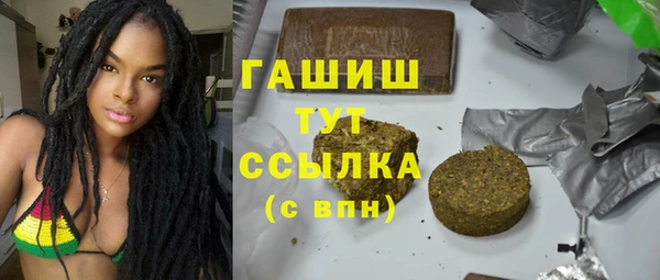 мдпв Бородино