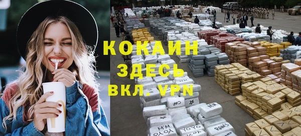 мдпв Бородино