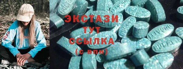 мдпв Бородино