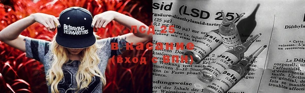 стафф Бронницы