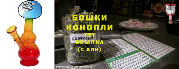 мдпв Бородино