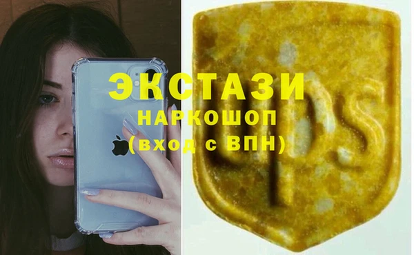мдпв Бородино