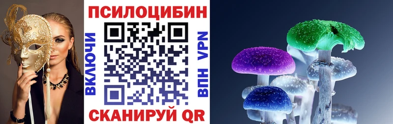 Галлюциногенные грибы Psilocybine cubensis  Невель 